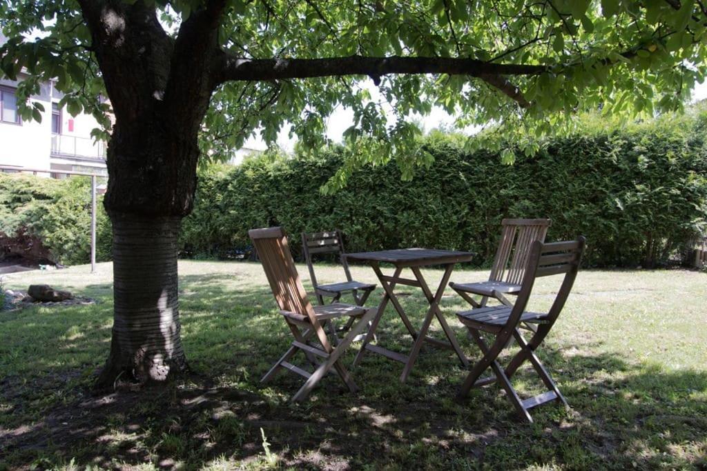 Casa Linum. U Centra Zlina S Atmosferou Venkova. Lägenhet Exteriör bild